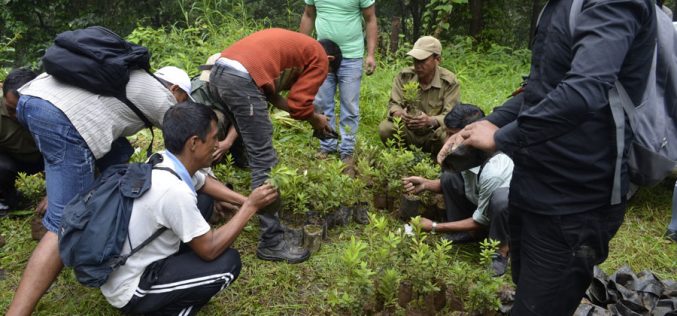 Tree Plantation Programme at Mangpoo – an initiative of West Bengal Khambu Rai Development Board