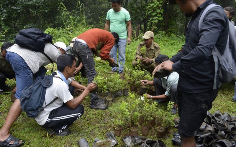 Tree Plantation Programme at Mangpoo – an initiative of West Bengal Khambu Rai Development Board