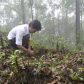 Tree Plantation Programme at Mangpoo – an initiative of West Bengal Khambu Rai Development Board