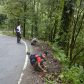 Tree Plantation Programme at Mangpoo – an initiative of West Bengal Khambu Rai Development Board