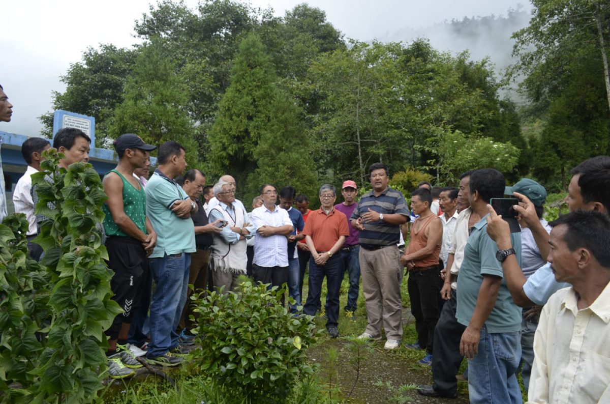 Photo Feature: Tree plantation at Bermek by WBKRDB