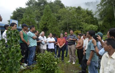 Photo Feature: Tree plantation at Bermek by WBKRDB