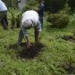 Photo Feature: Tree plantation at Bermek by WBKRDB