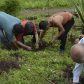 Photo Feature: Tree plantation at Bermek by WBKRDB