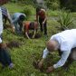 Photo Feature: Tree plantation at Bermek by WBKRDB