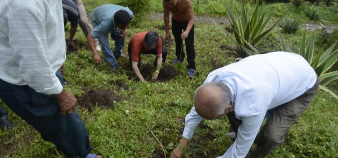 Tree plantation at Bermek by WBKRDB