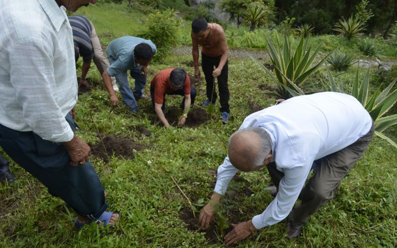 Tree plantation at Bermek by WBKRDB