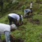 Photo Feature: Tree plantation at Bermek by WBKRDB