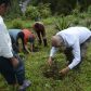 Photo Feature: Tree plantation at Bermek by WBKRDB