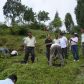 Photo Feature: Tree plantation at Bermek by WBKRDB