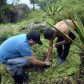 Photo Feature: Tree plantation at Bermek by WBKRDB