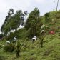 Photo Feature: Tree plantation at Bermek by WBKRDB