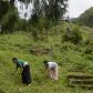 Photo Feature: Tree plantation at Bermek by WBKRDB