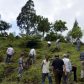 Photo Feature: Tree plantation at Bermek by WBKRDB