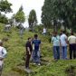 Photo Feature: Tree plantation at Bermek by WBKRDB