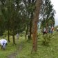 Photo Feature: Tree plantation at Bermek by WBKRDB