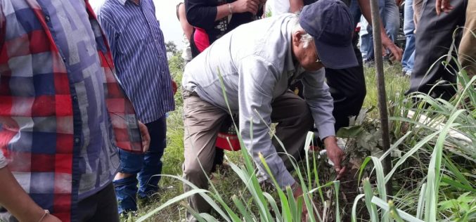 WBKRDB plants over 3000 saplings on World Environment Day