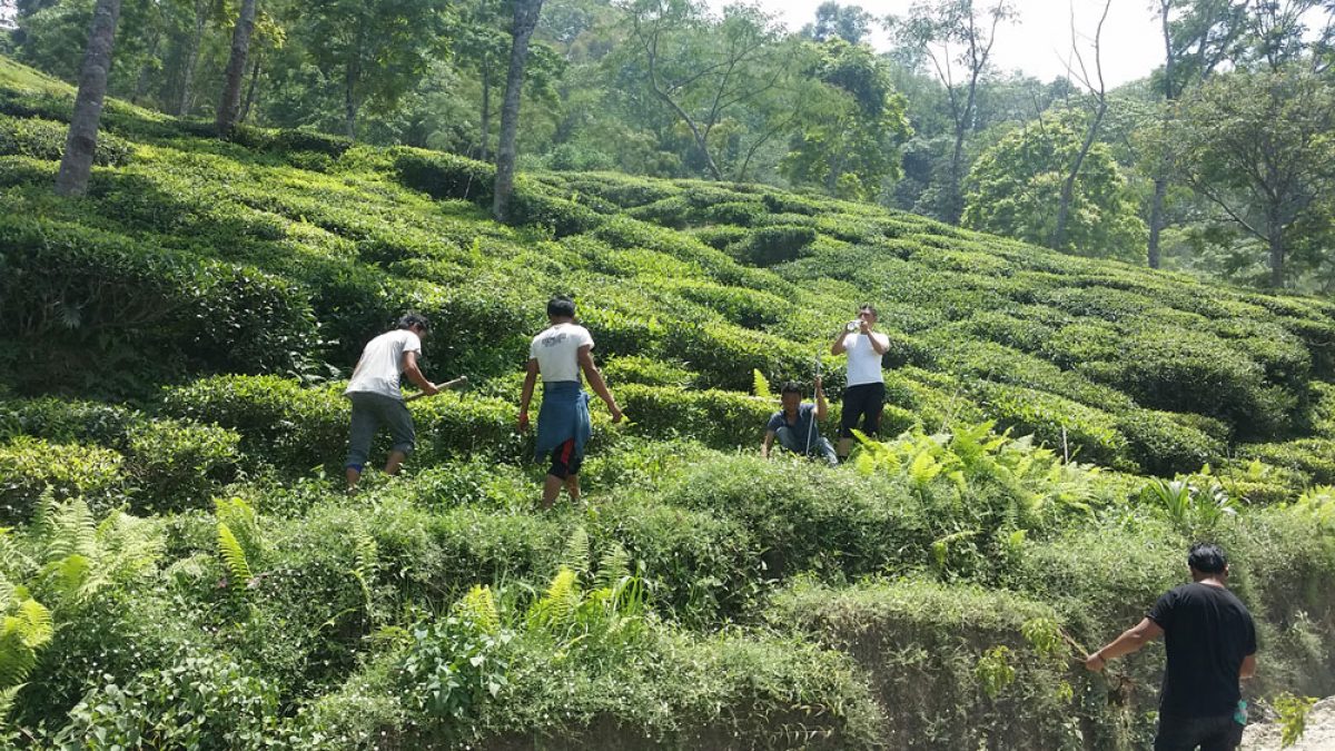 World Environment Day at Tukhvar TE