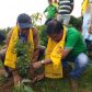 1500 plus Tree Plantation at Singtam TE