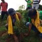 1500 plus Tree Plantation at Singtam TE