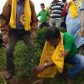 1500 plus Tree Plantation at Singtam TE