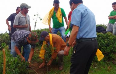 1500 plus Tree Plantation at Singtam TE