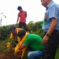 1500 plus Tree Plantation at Singtam TE