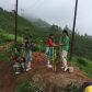 1500 plus Tree Plantation at Singtam TE