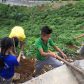 1500 plus Tree Plantation at Singtam TE