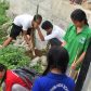 1500 plus Tree Plantation at Singtam TE