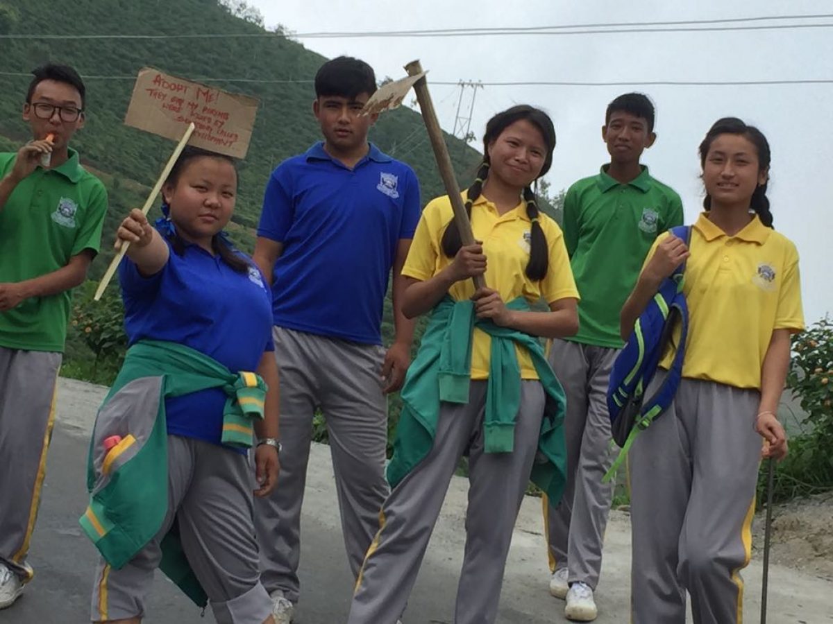 1500 plus Tree Plantation at Singtam TE