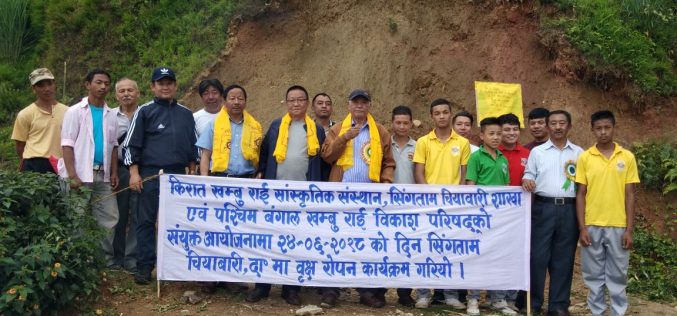 1500 plus Tree Plantation in Darjeeling