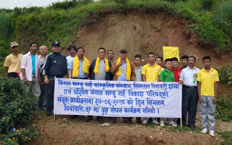 1500 plus Tree Plantation in Darjeeling