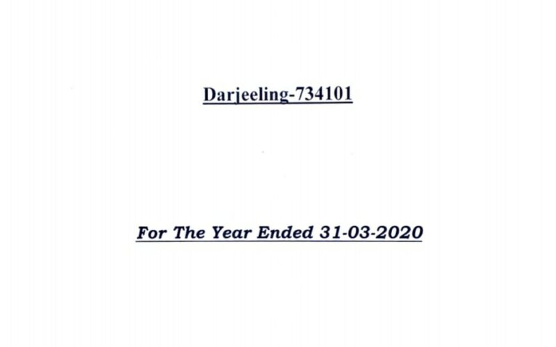 Statutory Audit Report of 2019-2020